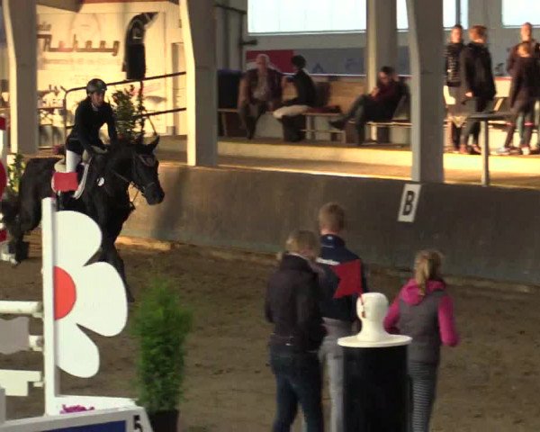 Reitturnier Vreden 2017