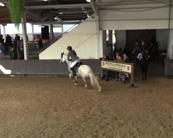 Reitturnier Vreden 2017