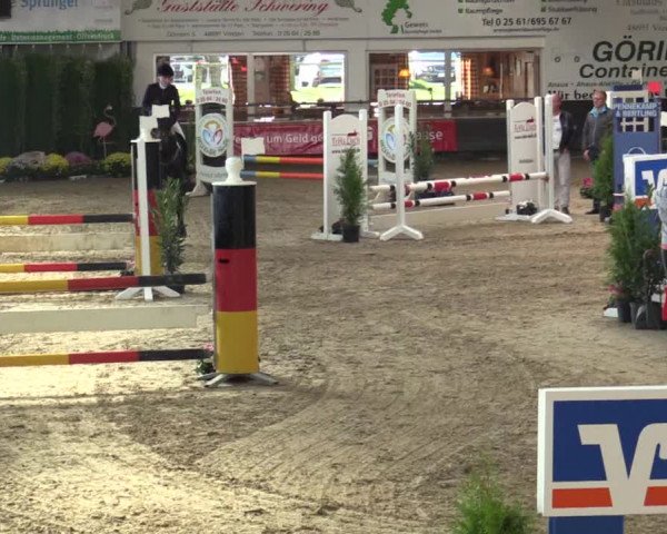 Reitturnier Vreden 2017
