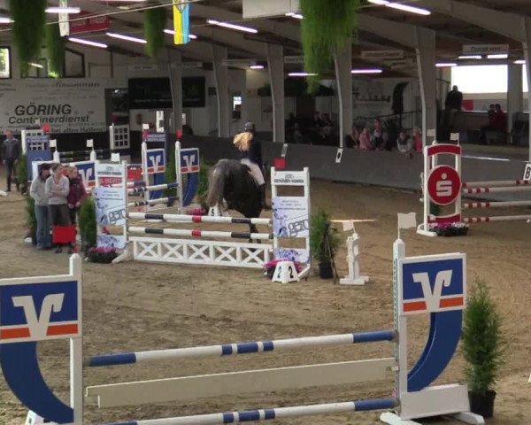 Reitturnier Vreden 2017