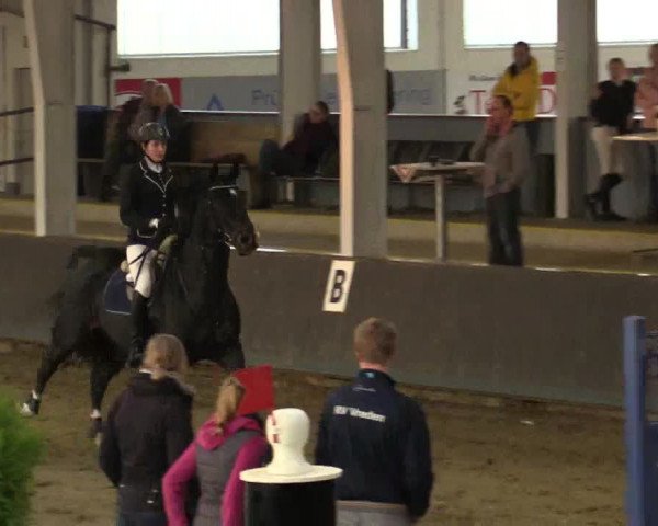 Reitturnier Vreden 2017