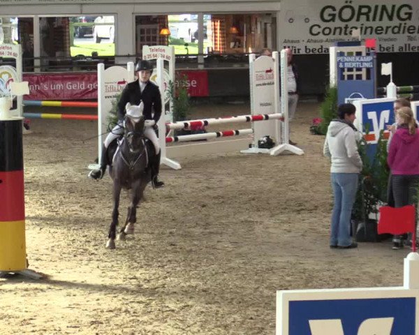 Reitturnier Vreden 2017