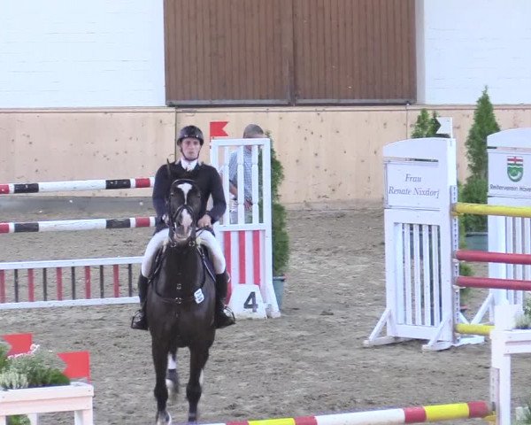Reitturnier Hövelhof 2017