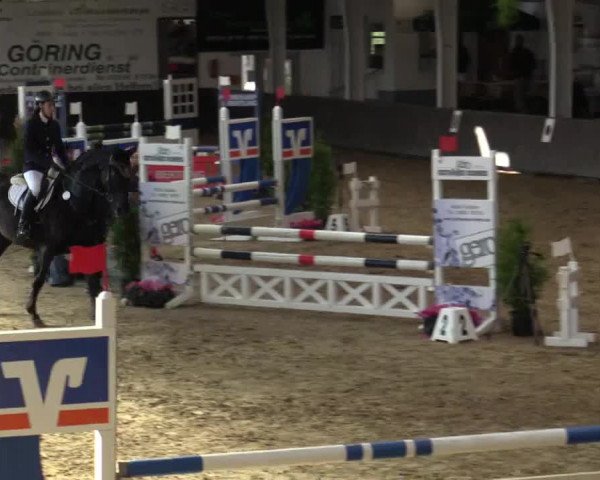 Reitturnier Vreden 2017