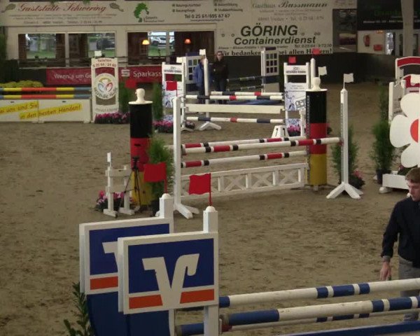Reitturnier Vreden 2017
