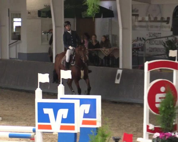Reitturnier Vreden 2017