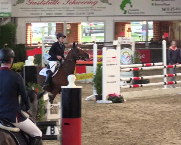 Reitturnier Vreden 2017