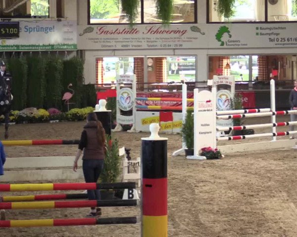 Reitturnier Vreden 2017