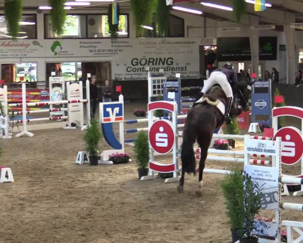 Reitturnier Vreden 2017