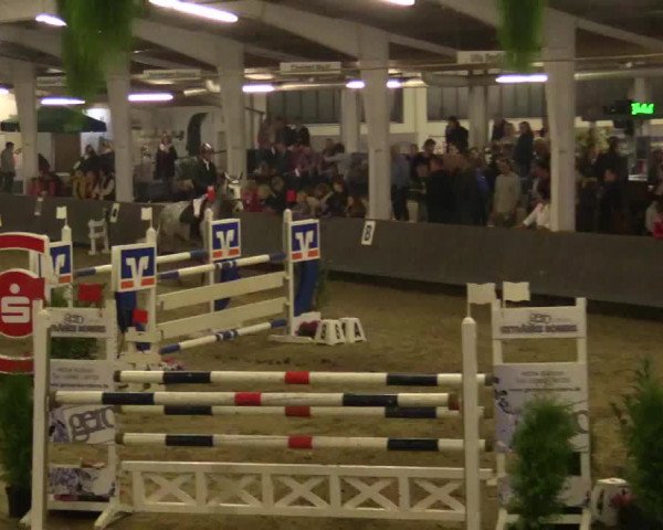 Reitturnier Vreden 2017