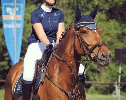 jumper Golden Princess G (Bavarian, 2011, from Acolydor)
