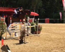 jumper Ligardo (Württemberger, 2012, from Lyjanero)