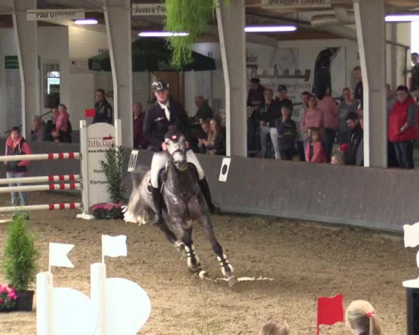 Reitturnier Vreden 2017