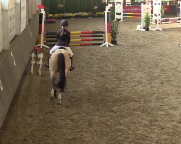 Reitturnier Vreden 2017