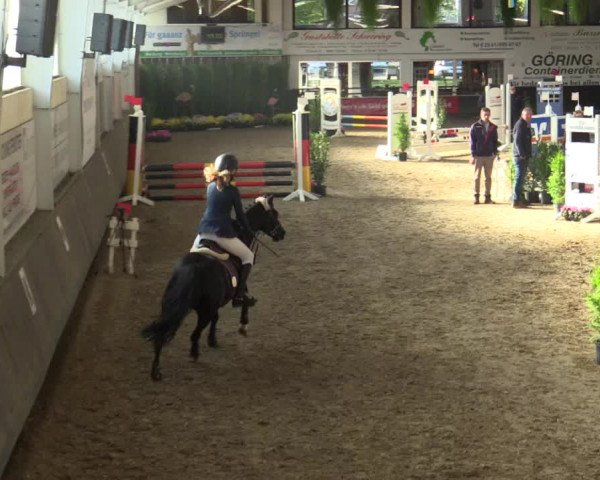 Reitturnier Vreden 2017