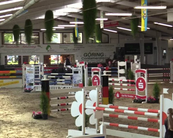 Reitturnier Vreden 2017