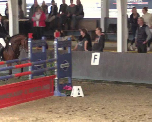 Reitturnier Vreden 2017