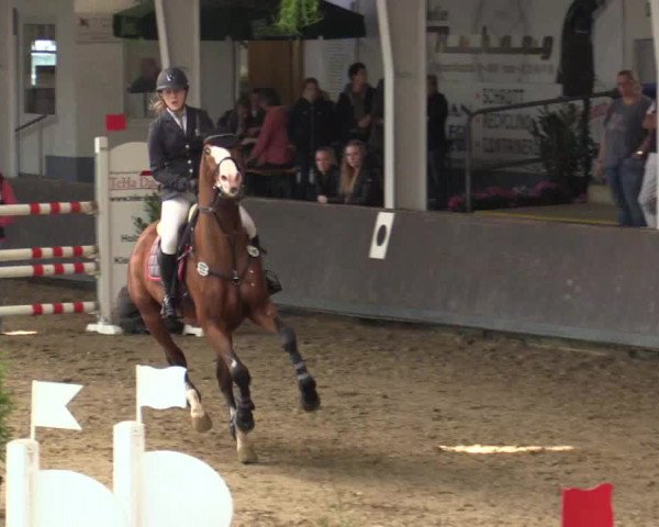 Reitturnier Vreden 2017