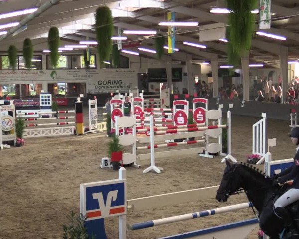 Reitturnier Vreden 2017