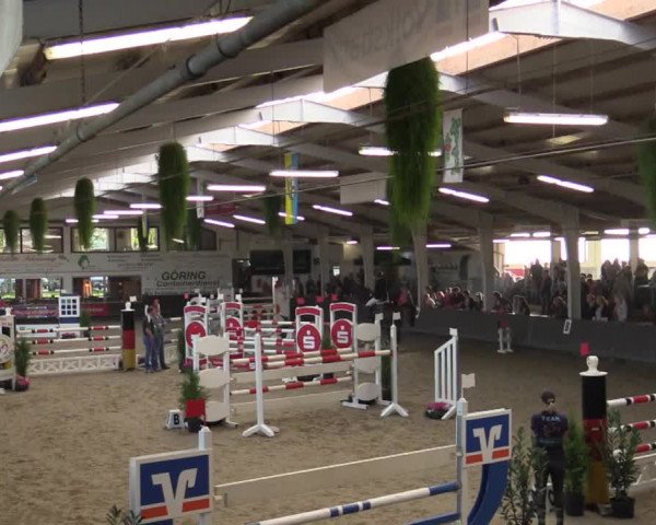 Reitturnier Vreden 2017