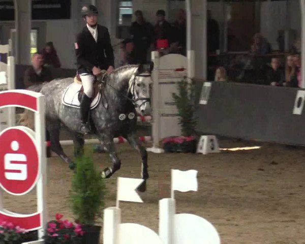 Reitturnier Vreden 2017