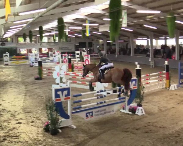 Reitturnier Vreden 2017