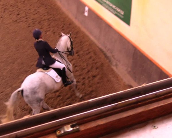 Reitturnier Dallgow 2017