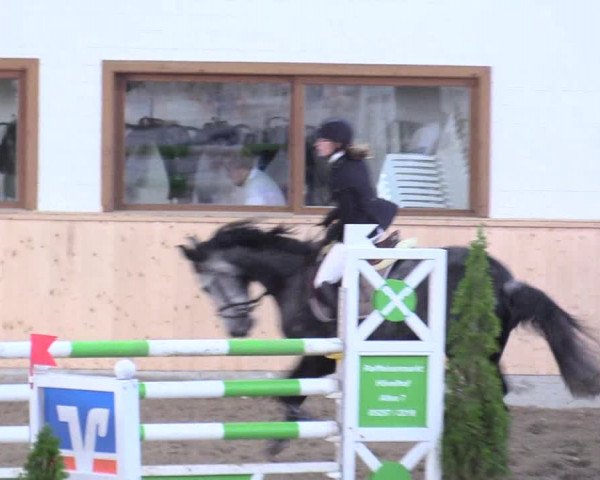 Reitturnier Hövelhof 2017