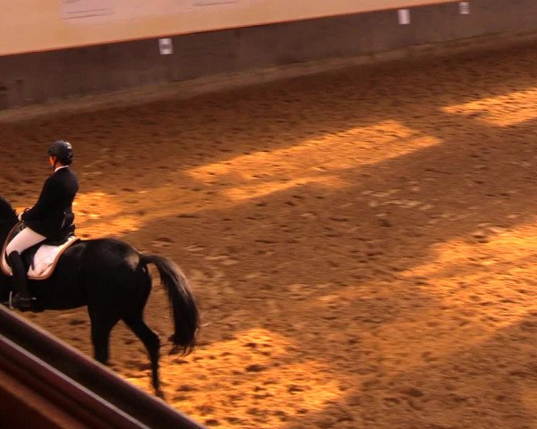 Reitturnier Dallgow 2017