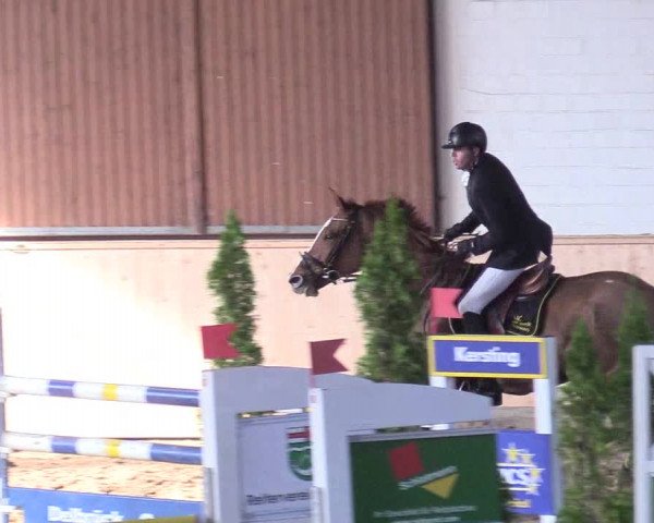 Reitturnier Hövelhof 2017