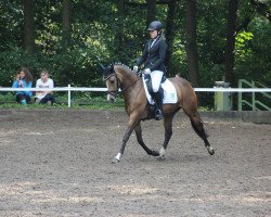 Dressurpferd Cleopatra 282 (Deutsches Reitpony, 2012, von FS Champion de Luxe)