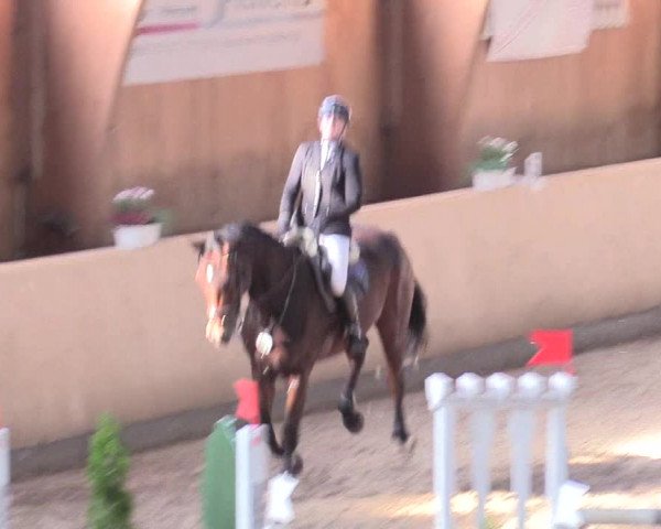 Reitturnier Hövelhof 2017