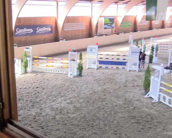 Reitturnier Hövelhof 2017
