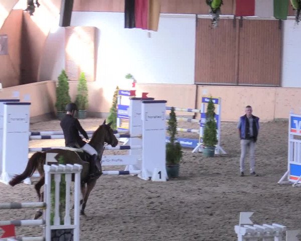 Reitturnier Hövelhof 2017