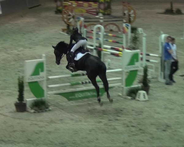 Reitturnier Mönchengladbach-Abtshof 2017