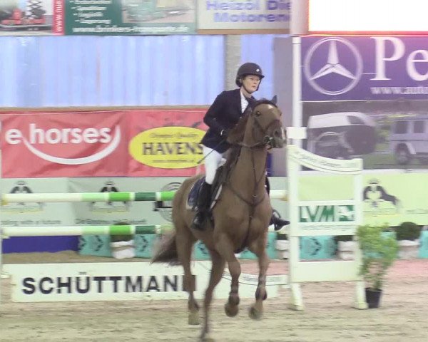 Reitturnier Isterberg 2017