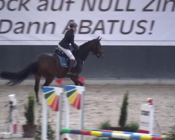 Reitturnier Mönchengladbach-Abtshof 2017