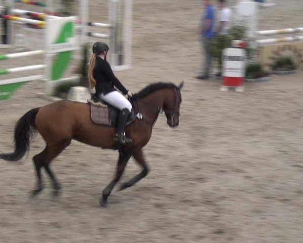 Reitturnier Mönchengladbach-Abtshof 2017