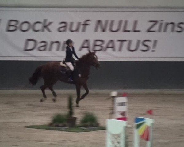 Reitturnier Mönchengladbach-Abtshof 2017