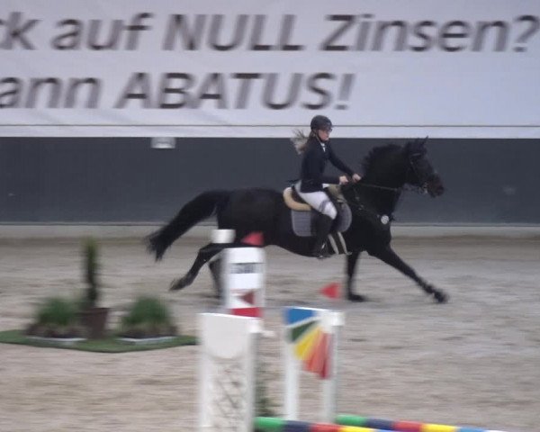 Reitturnier Mönchengladbach-Abtshof 2017