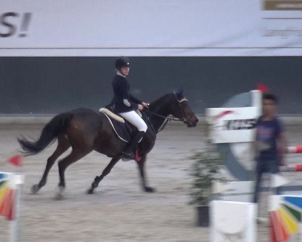 Reitturnier Mönchengladbach-Abtshof 2017