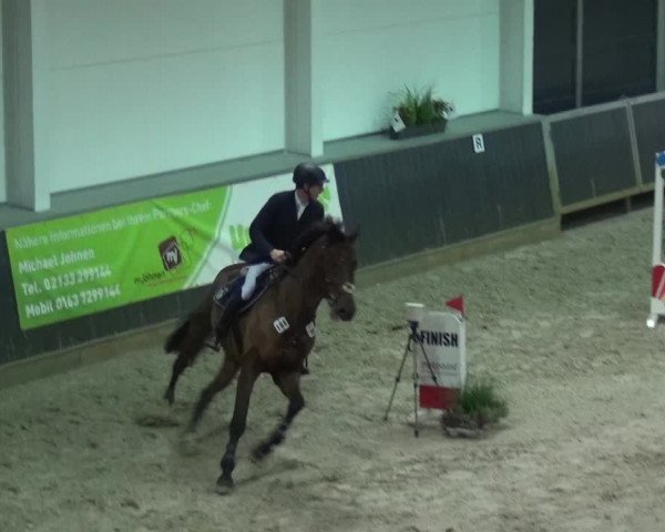 Reitturnier Mönchengladbach-Abtshof 2017