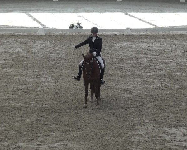 Reitturnier Mönchengladbach-Abtshof 2017