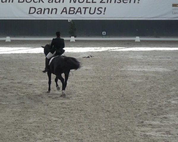 Reitturnier Mönchengladbach-Abtshof 2017
