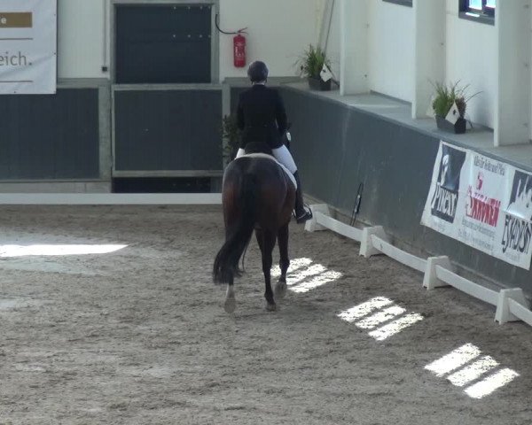 Reitturnier Mönchengladbach-Abtshof 2017