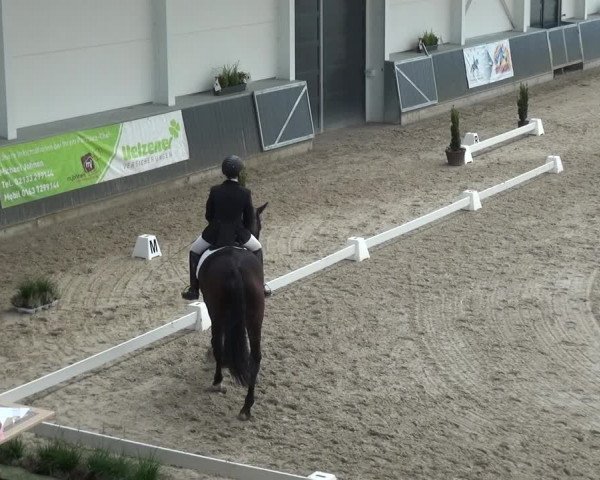 Reitturnier Mönchengladbach-Abtshof 2017