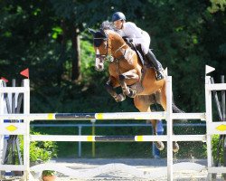 jumper Samantha 202 (unknown, 2010)