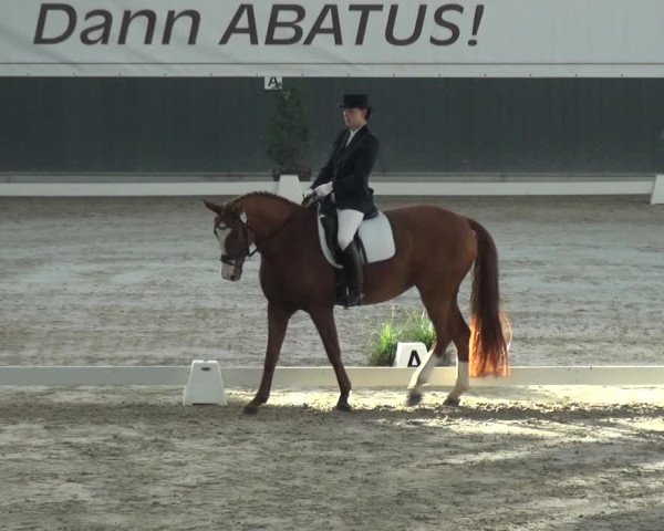 Reitturnier Mönchengladbach-Abtshof 2017