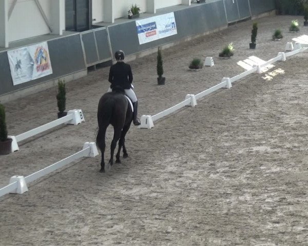 Reitturnier Mönchengladbach-Abtshof 2017