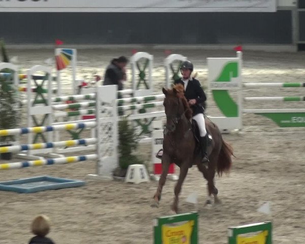 Reitturnier Mönchengladbach-Abtshof 2017